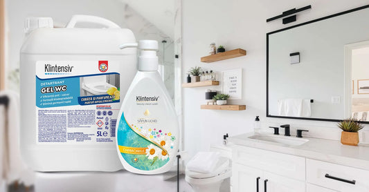 Pericolele ascunse din baie: importanta igienizarii corecte a toaletei si folosirea unui detartrant