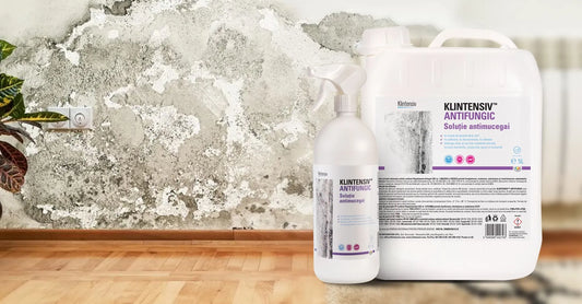 Care este cea mai buna solutie antimucegai?