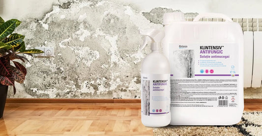 Mucegai in casa: Cat de periculoase sunt petele de mucegai din casa si cum le putem elimina?