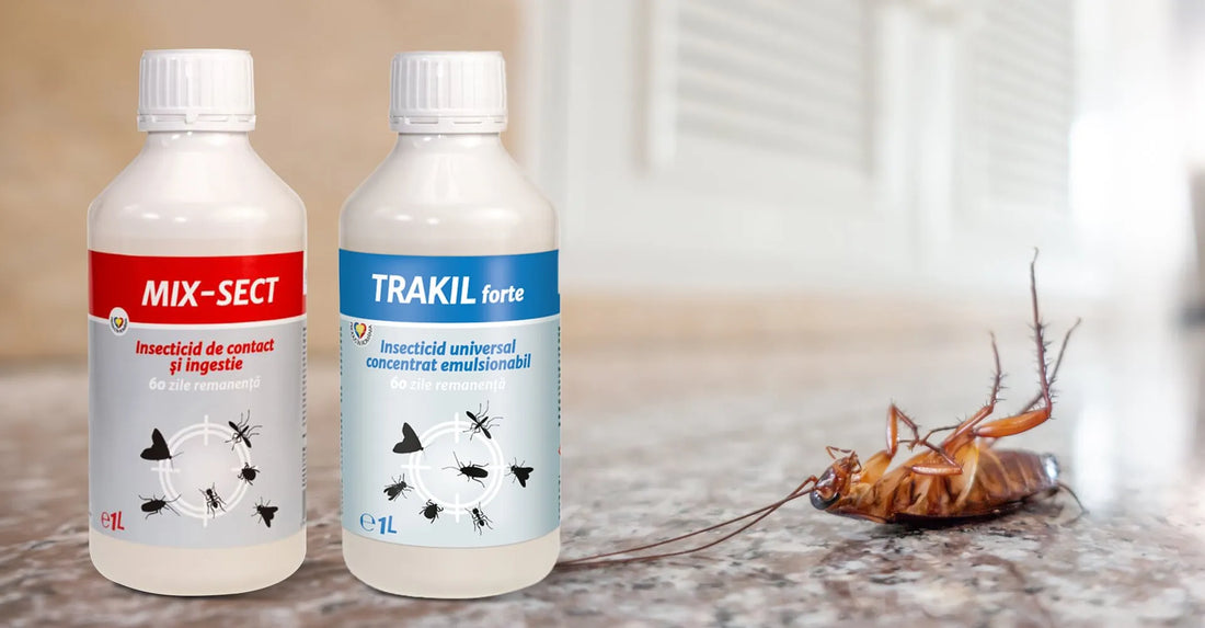 Capcane gandaci, cat de periculosi sunt gandacii si cum poti preveni aparitia acestora?