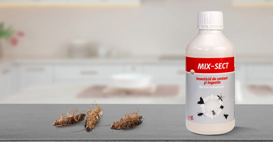 Ce este un insecticid și cum poate fi folosit în siguranță?