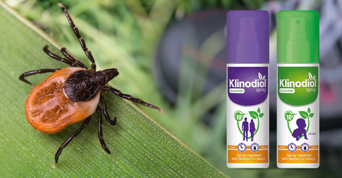 Cat de periculoase sunt insectele si cand este nevoie sa folosim un spray capuse?