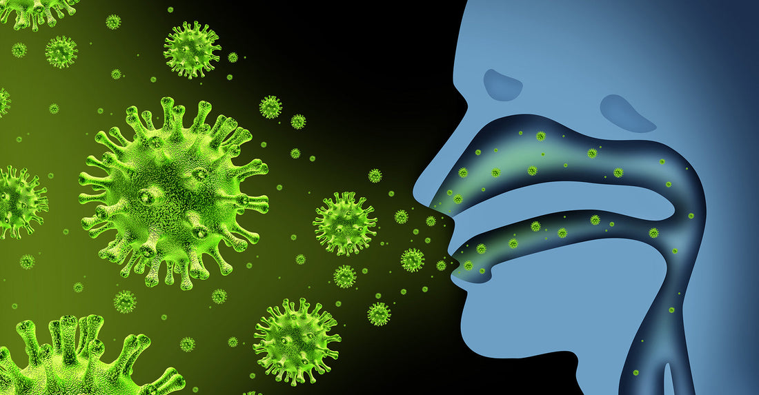 Gripa: cauze, simptome, tratament eficient și prevenție în sezonul gripal 2024-2025