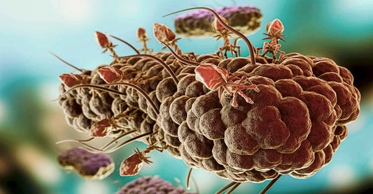 Care sunt factorii care influențează eficacitatea igienizării, dezinfectării și sterilizării?