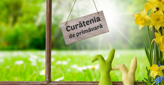 Beneficiile curățeniei de primăvară pentru sănătate și cum o realizăm corect
