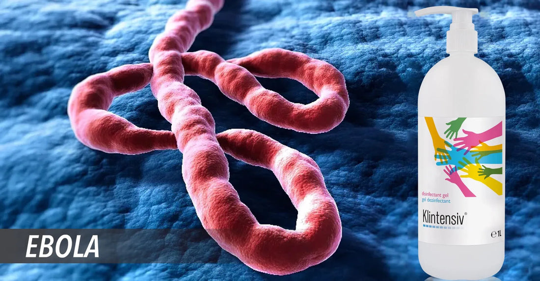 Ebola: Cauze, Simptome, Transmitere, Tratament si Preventie