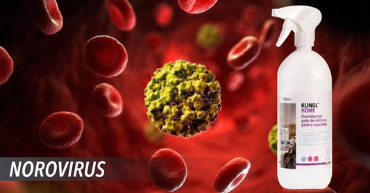 Norovirus: Cauze, Simptome, Transmitere, Tratament si Preventie