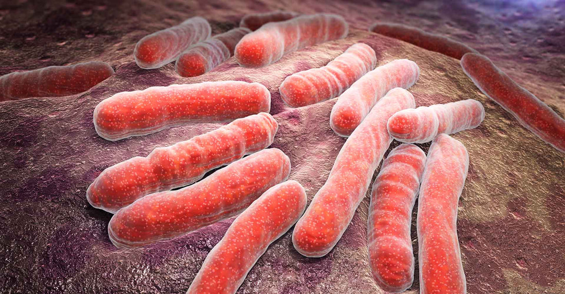 Pericole ascunse în spitale: Riscul de transmitere a agenților patogeni prin intermediul tastaturilor