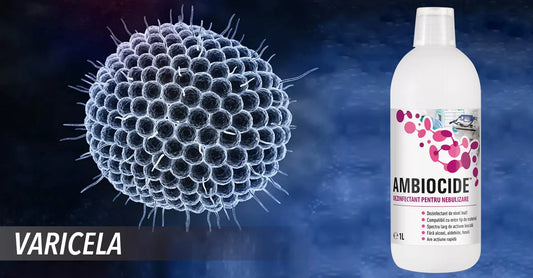 Varicela (varsat de vant): Cauze, Simptome, Transmitere, Tratament si Preventie