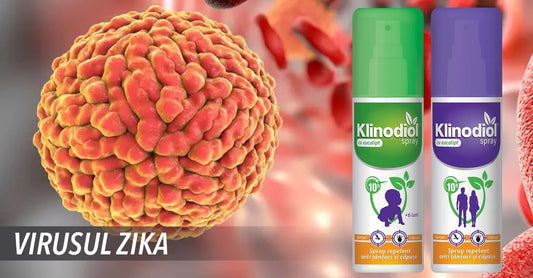 Virusul Zika: cauze, simptome, transmitere, tratament și preventie