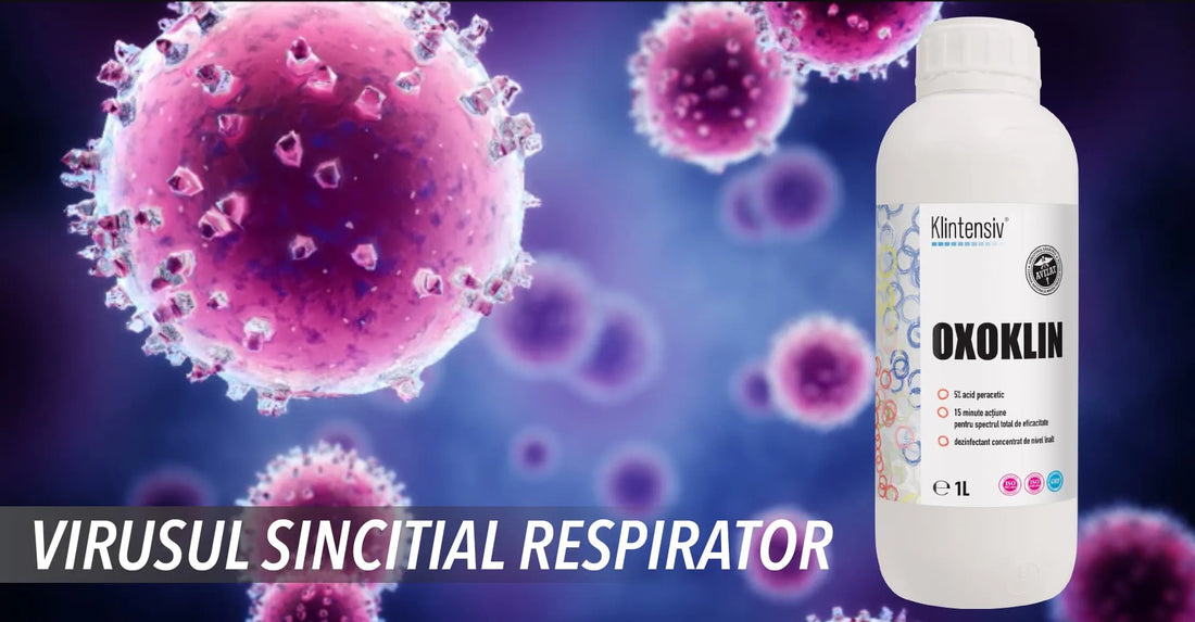 Virusul Sincitial Respirator (VSR): Cauze, Simptome, Transmitere, Tratament si Preventie