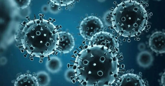 Gripa sezoniera: eliminarea virusului ca metoda de preventie