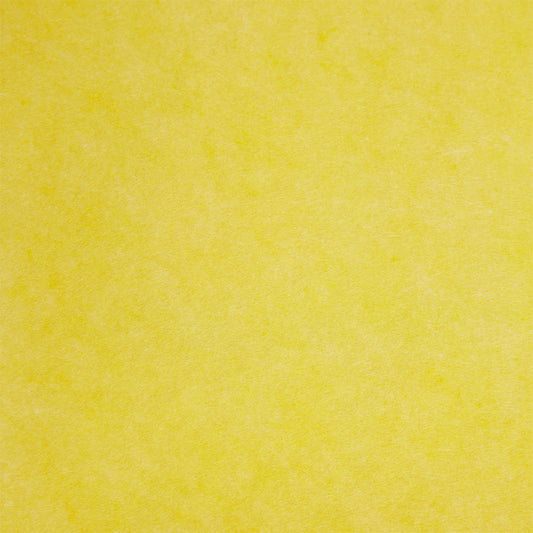 Wetclean pachet 10 buc pe culoare 1/4-folded