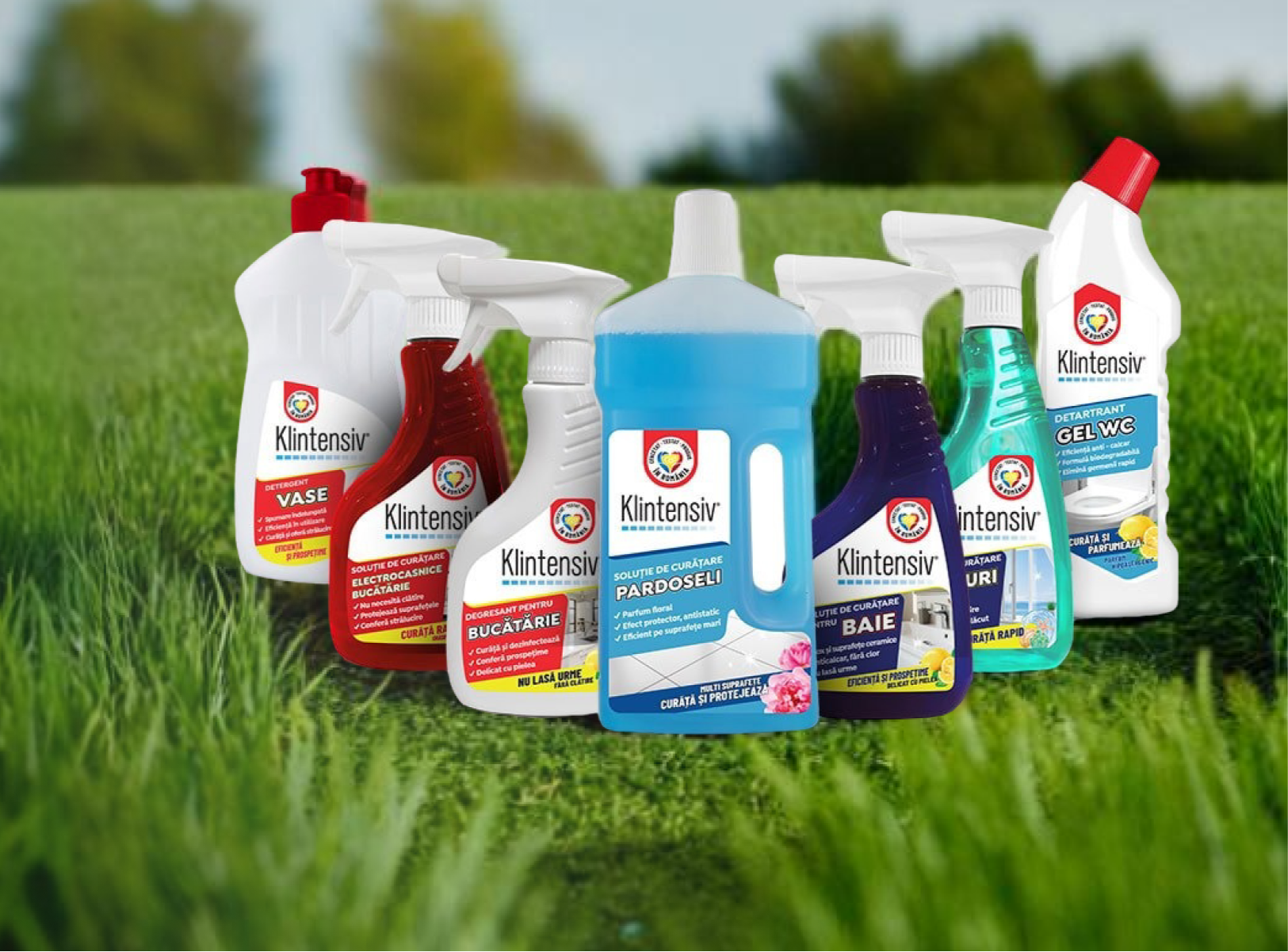 SUSTENABILITATEA KLINTENSIV – DINCOLO DE PROMISIUNI