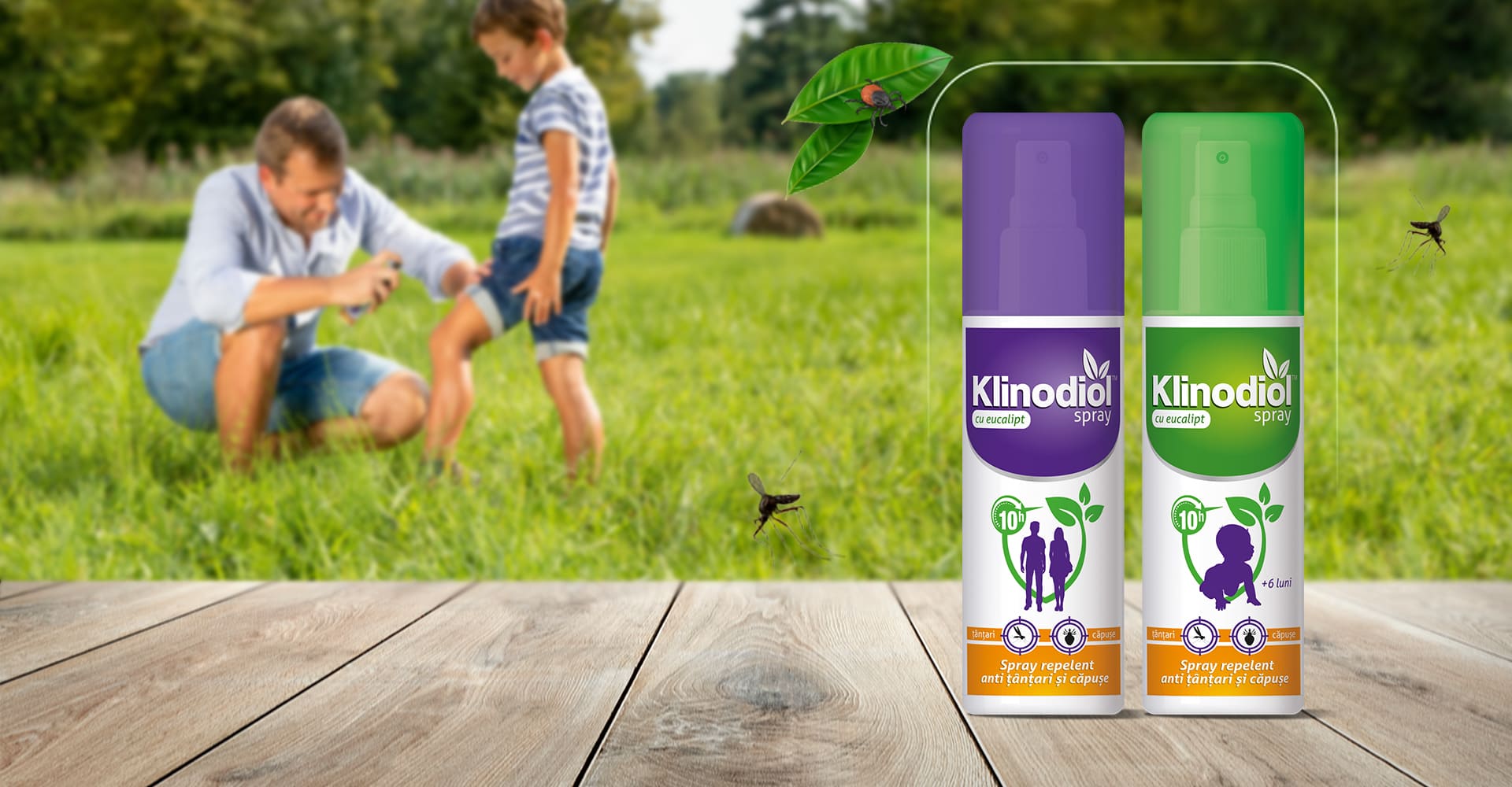 pesta porcină - Soluția la îndemâna oricui împotriva insectelor și a căpușelor: Klinodiol, spray repelent cu eucalipt