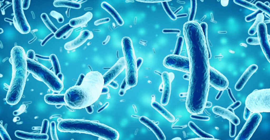 ce sunt bacteriile - Ce sunt bacteriile, tipuri și moduri de prevenire a infecțiilor